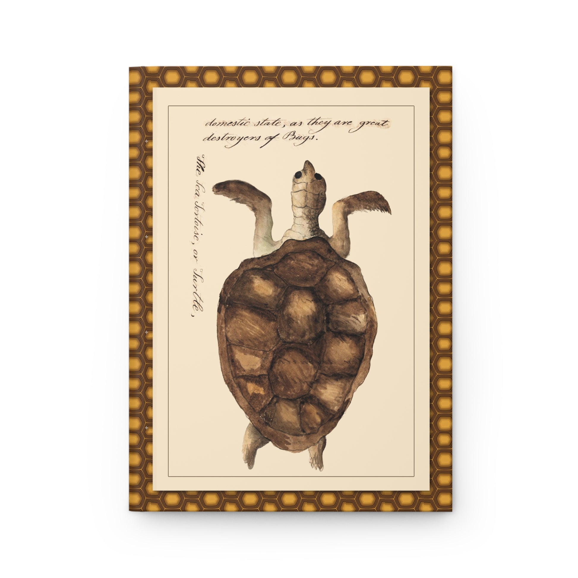 The Sea Tortoise page 233 front cover from Kenelm Henry Digby 1810-1819 The Naturalists Companion watercolor manuscript - LeBonJournal