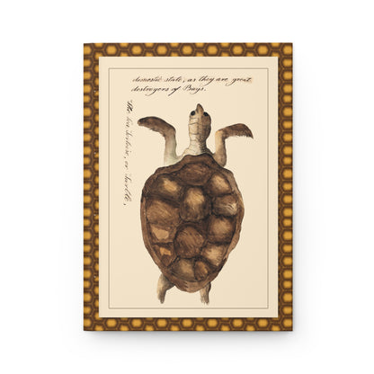 The Sea Tortoise page 233 front cover from Kenelm Henry Digby 1810-1819 The Naturalists Companion watercolor manuscript - LeBonJournal