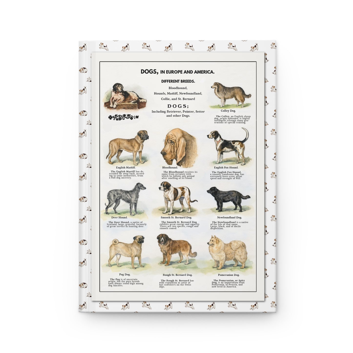 Thomas E. Hill 1915 front cover Collie Mastiff Bloodhound St. Bernard Newfoundland Pug watercolor - LeBonJournal
