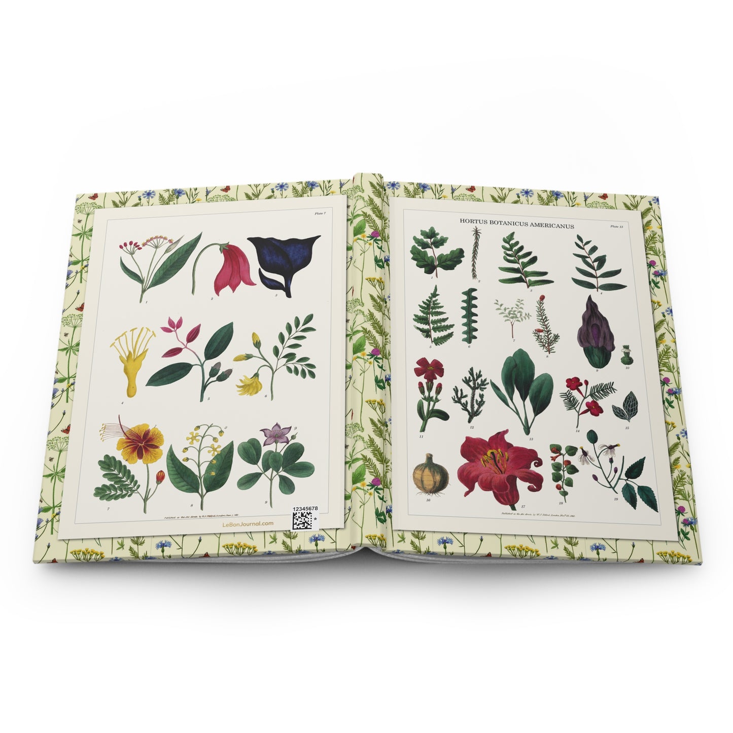 Titford 1811 botanical hardcover journal open showing front and back covers with casewrap sewn spine, Hortus Botanicus Americanus - LeBonJournal