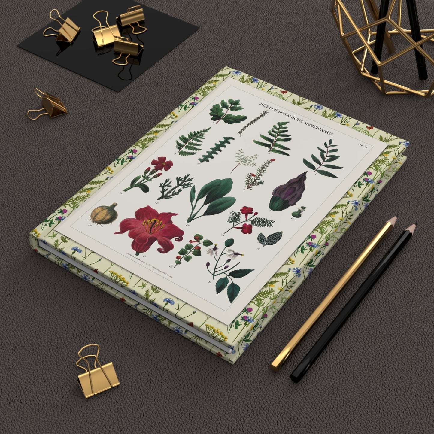 Titford 1811 Hortus Botanicus Americanus journal on workspace celebrating medicinal plant botanical illustration - LeBonJournal