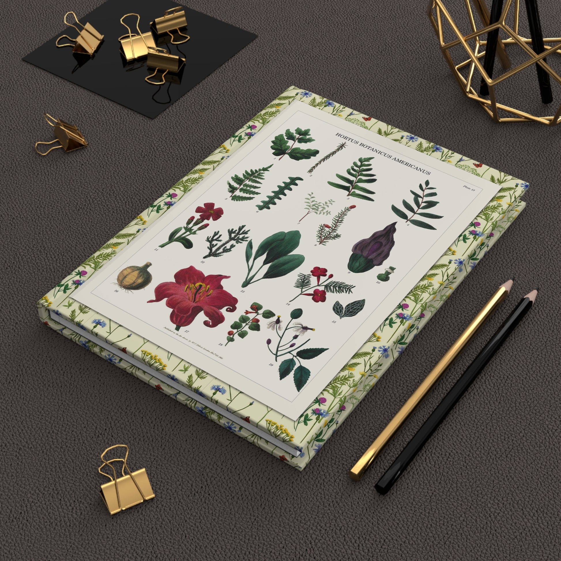 Titford 1811 Hortus Botanicus Americanus journal on workspace celebrating medicinal plant botanical illustration - LeBonJournal