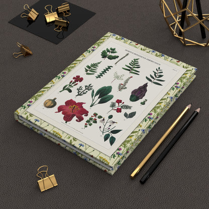 Titford 1811 Hortus Botanicus Americanus journal on workspace celebrating medicinal plant botanical illustration - LeBonJournal