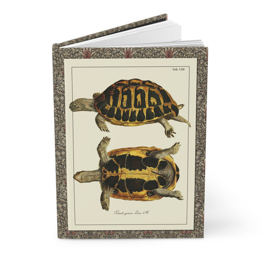 Schöpf 1792 turtle hardcover journal standing vertically slightly open showing lined pages, Naturgeschichte der Schildkröten engraving cover - LeBonJournal