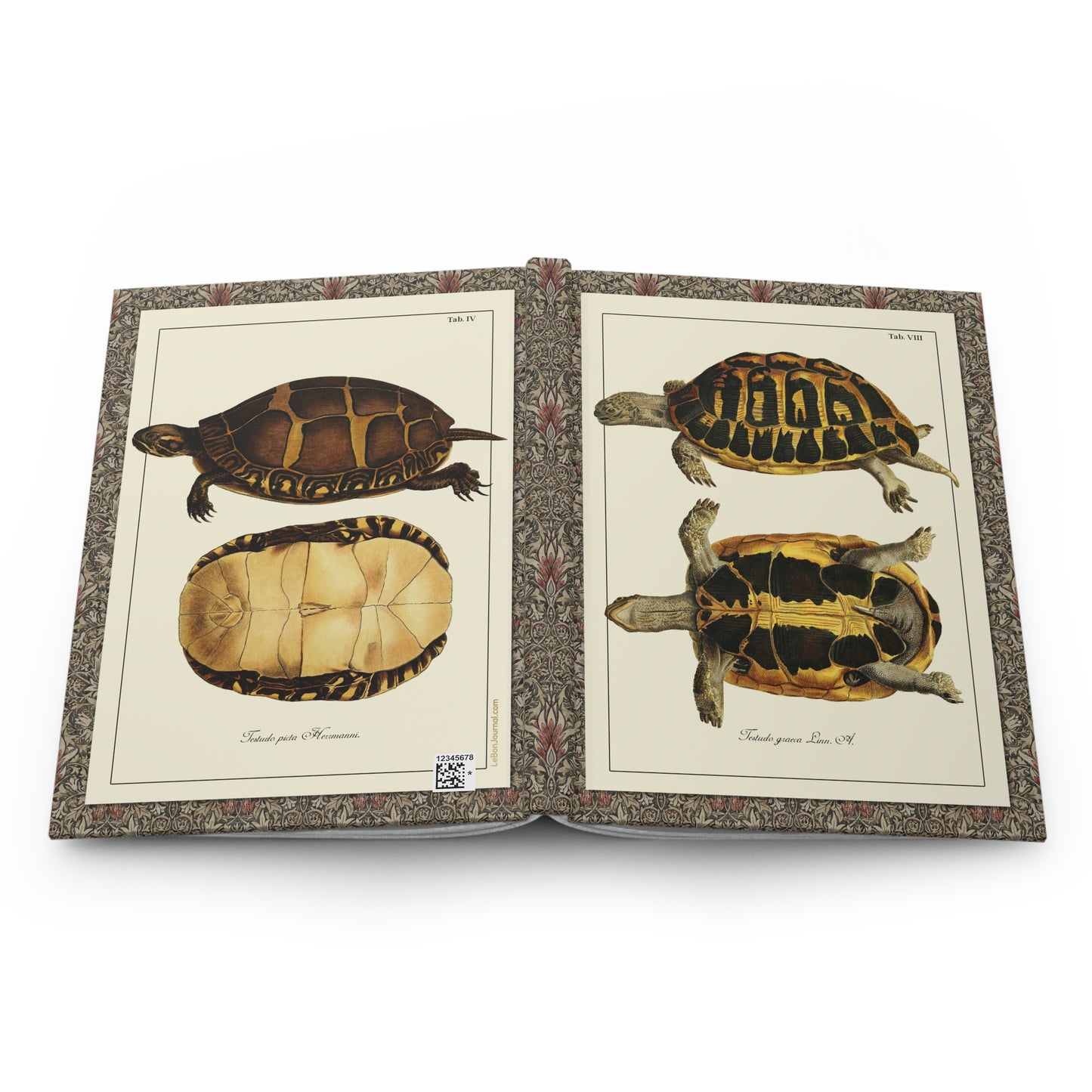 Schöpf 1792 turtle hardcover journal open showing front and back covers with casewrap sewn spine, Naturgeschichte der Schildkröten - LeBonJournal