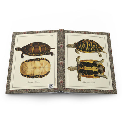 Schöpf 1792 turtle hardcover journal open showing front and back covers with casewrap sewn spine, Naturgeschichte der Schildkröten - LeBonJournal