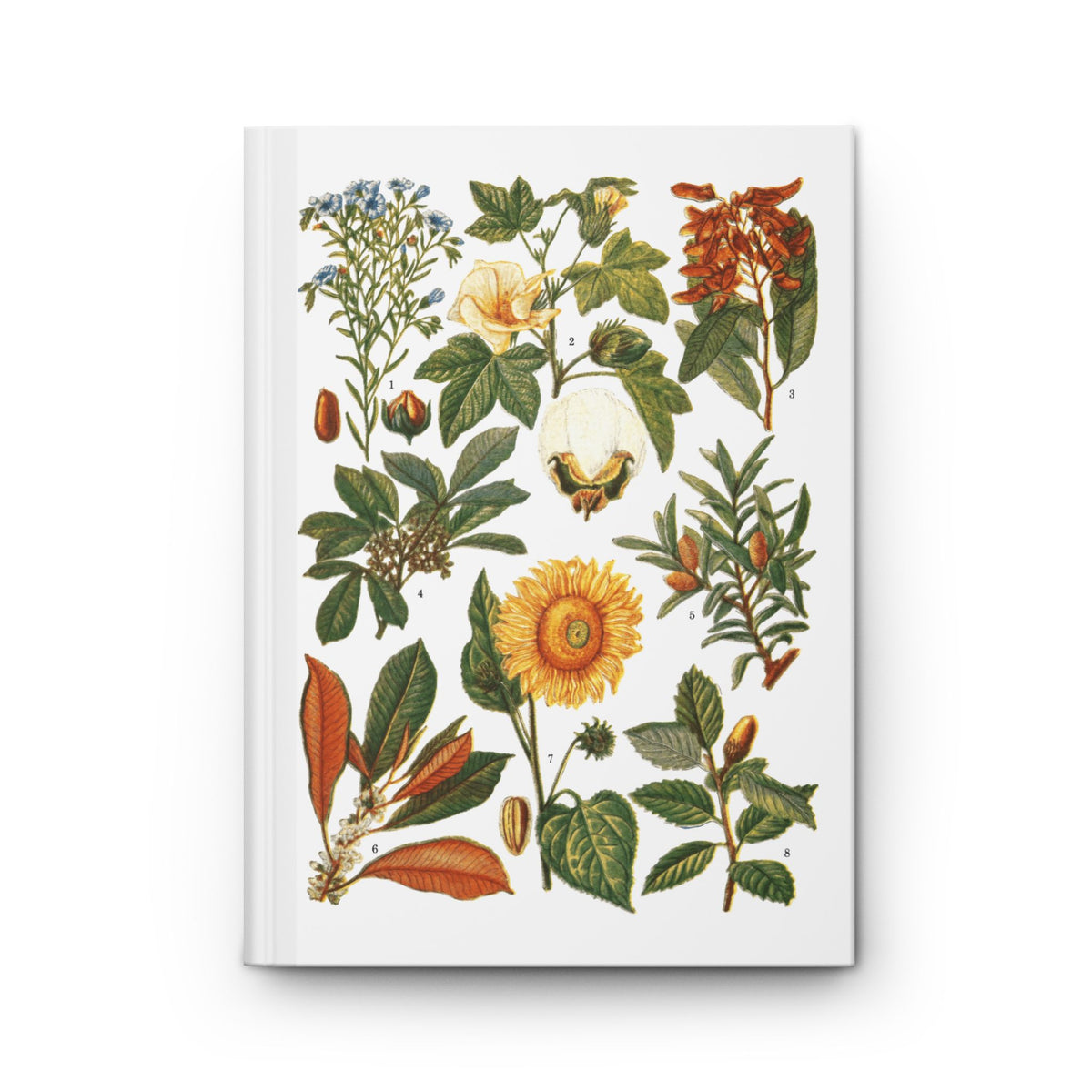 Botanical blank journal front cover with El Tesoro de la Juventud 1913 Vegetales de Aprovechamiento Industrial plate — cotton sunflower cacao rubber and industrial plants on white - LeBonJournal