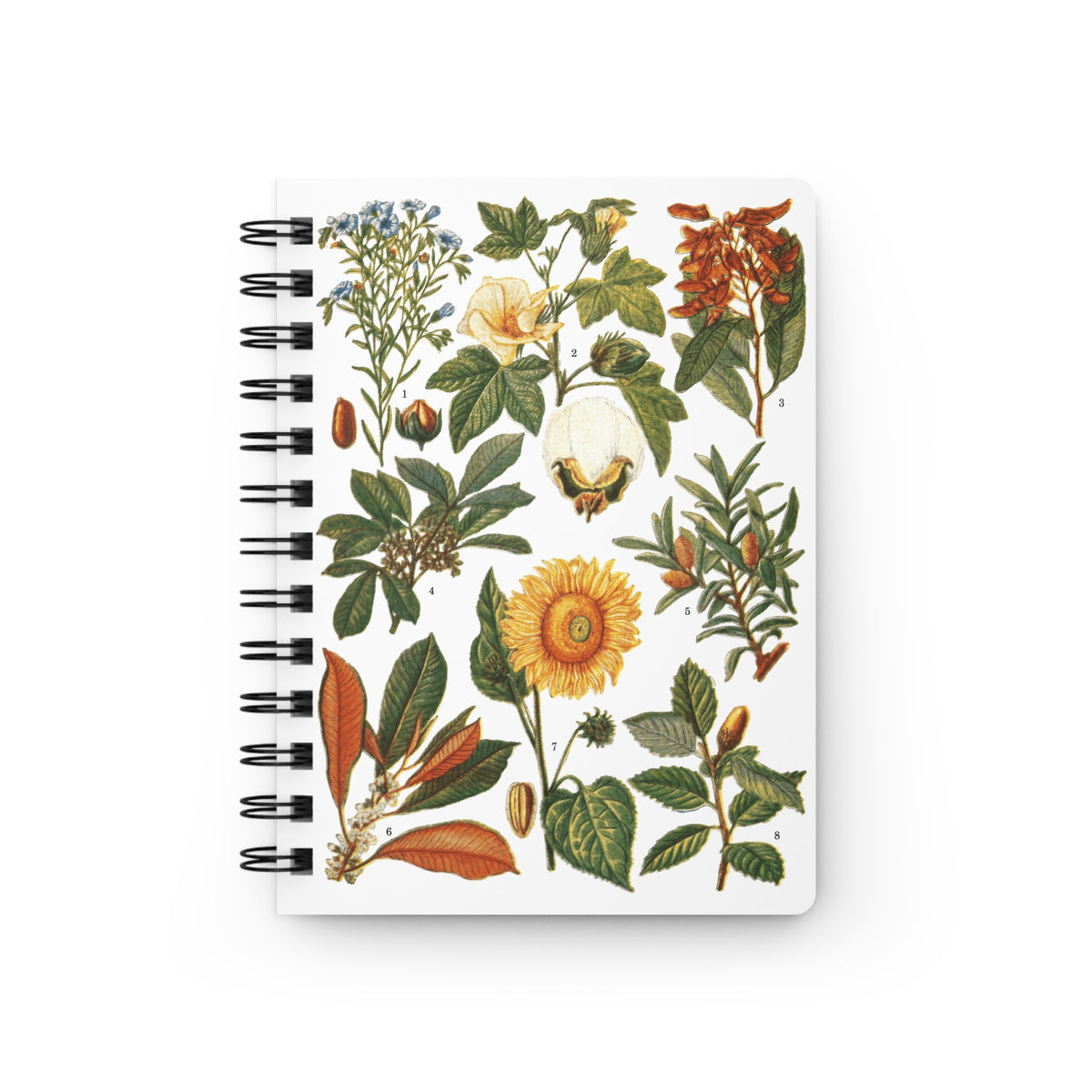 Botanical spiral journal front cover with El Tesoro de la Juventud 1913 Vegetales de Aprovechamiento Industrial plate — cotton sunflower cacao rubber and industrial plants on white - LeBonJournal