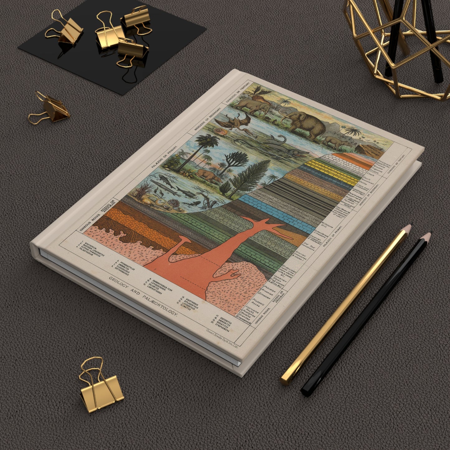 Geology journal on leather desk surface beside pencils and clips celebrating Victorian earth science and the golden age of geological illustration - LeBonJournal