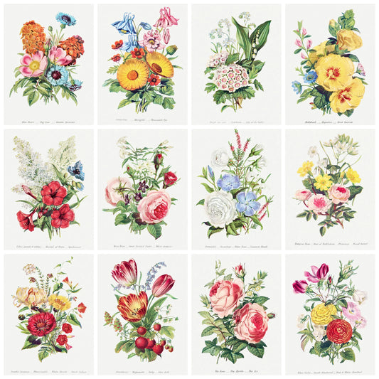 Mosaic of 12 hand-colored Victorian floral illustrations from Robert Tyas's Language of Flowers - LeBonJournal