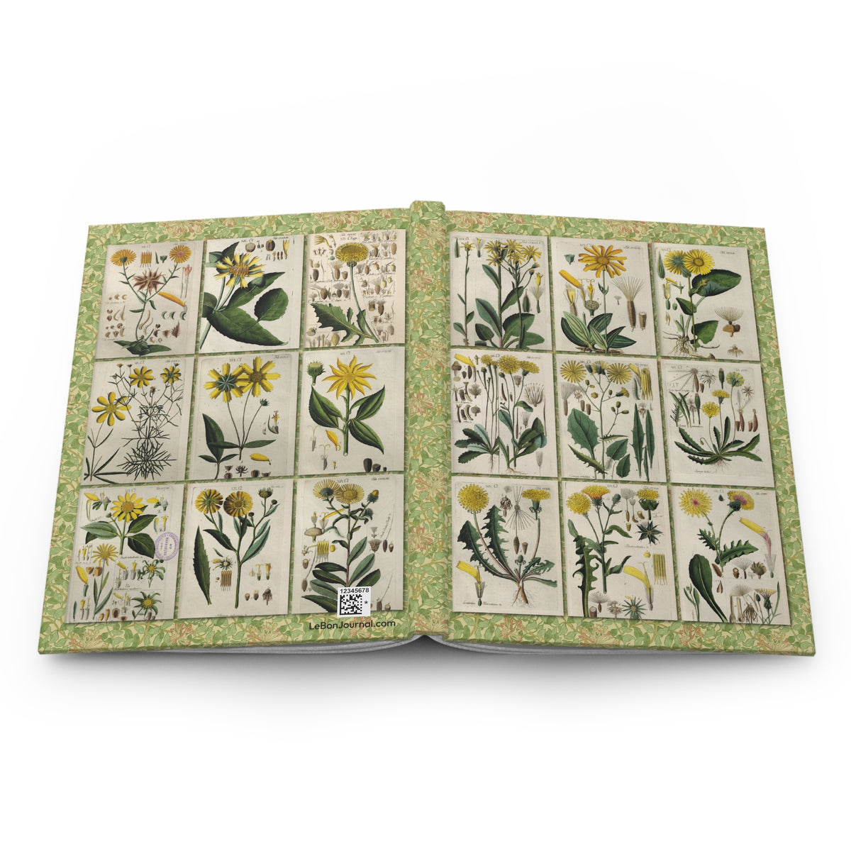 Wildflower journal open flat showing front and back covers with Schkuhr 1808 Botanisches Handbuch Asteraceae copper engravings and casewrap spine - LeBonJournal