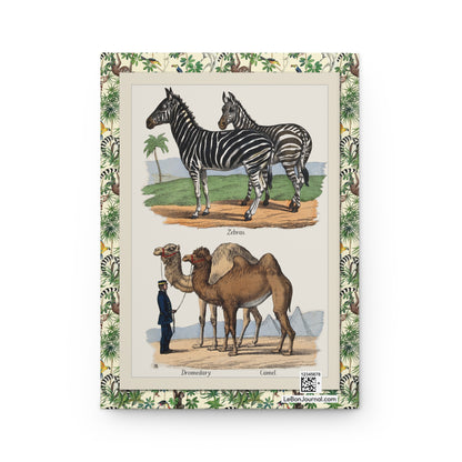 Zebras dromedary camel Blackburn back cover 1859 B. Hummel hand-colored lithograph - LeBonJournal
