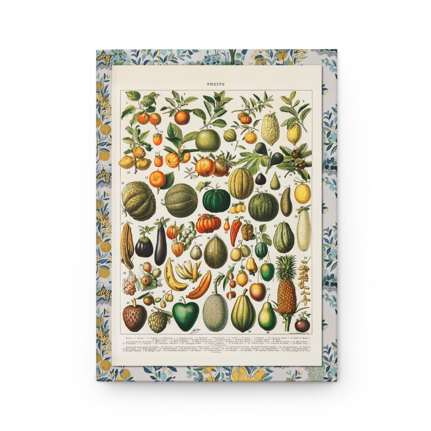 Adolphe Millot journal front cover with 1898 Nouveau Larousse Illustré fruits and vegetables plate - LeBonJournal