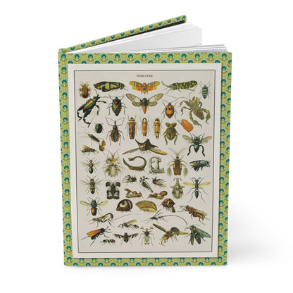 Adolphe Millot entomology journal with Nouveau Larousse insect charts from 1897-1904 - LeBonJournal