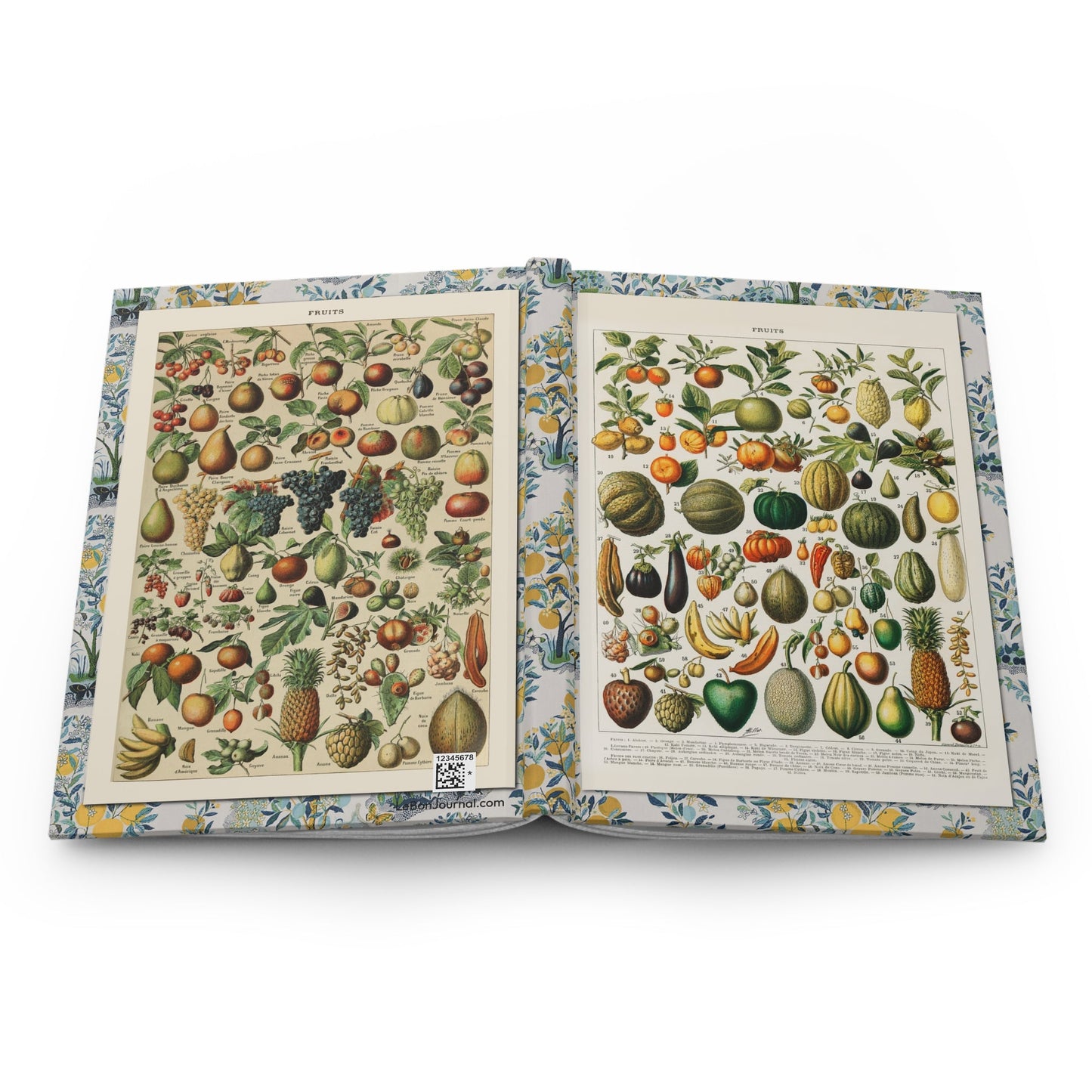Adolphe Millot fruits journal open showing casewrap binding with Larousse encyclopedia plates - LeBonJournal