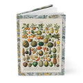 Adolphe Millot 1898 1900 fruits journal with Larousse encyclopedia botanical illustration plates - LeBonJournal