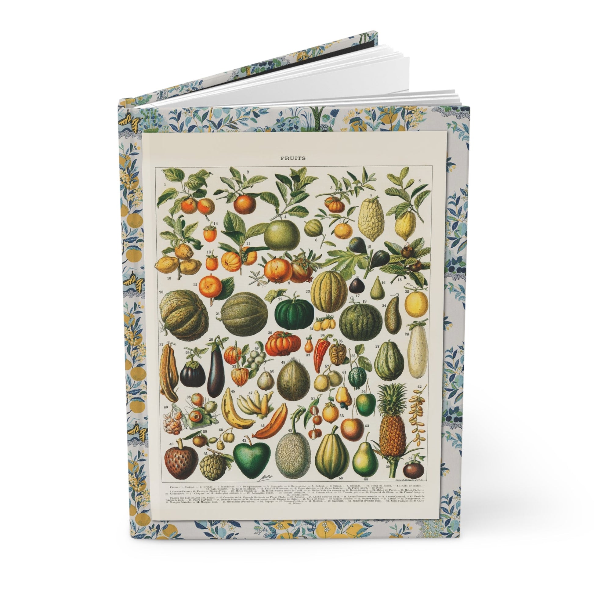 Adolphe Millot 1898 1900 fruits journal with Larousse encyclopedia botanical illustration plates - LeBonJournal
