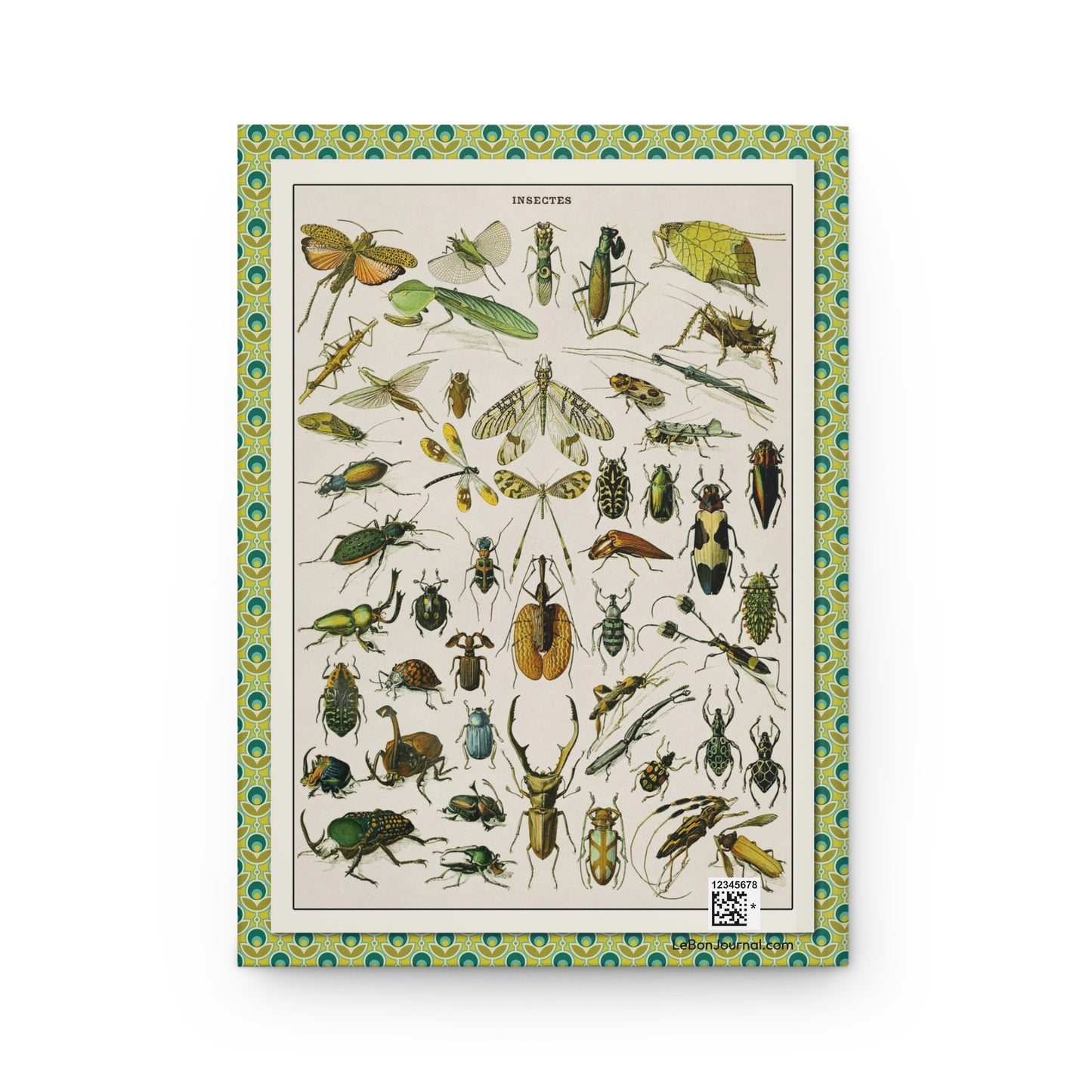 Entomology journal back cover with Adolphe Millot Insectes plate from Larousse encyclopedia - LeBonJournal 