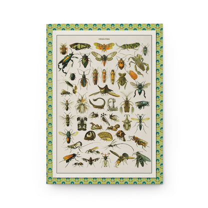 Entomology journal front cover with Adolphe Millot Insectes plate from Nouveau Larousse - LeBonJournal