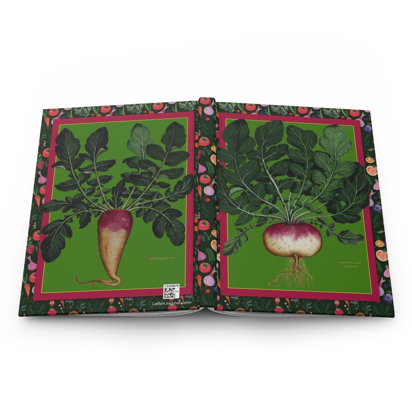 Ulisse Aldrovandi botanical journal open showing casewrap binding and Renaissance vegetable illustrations - LeBonJournal