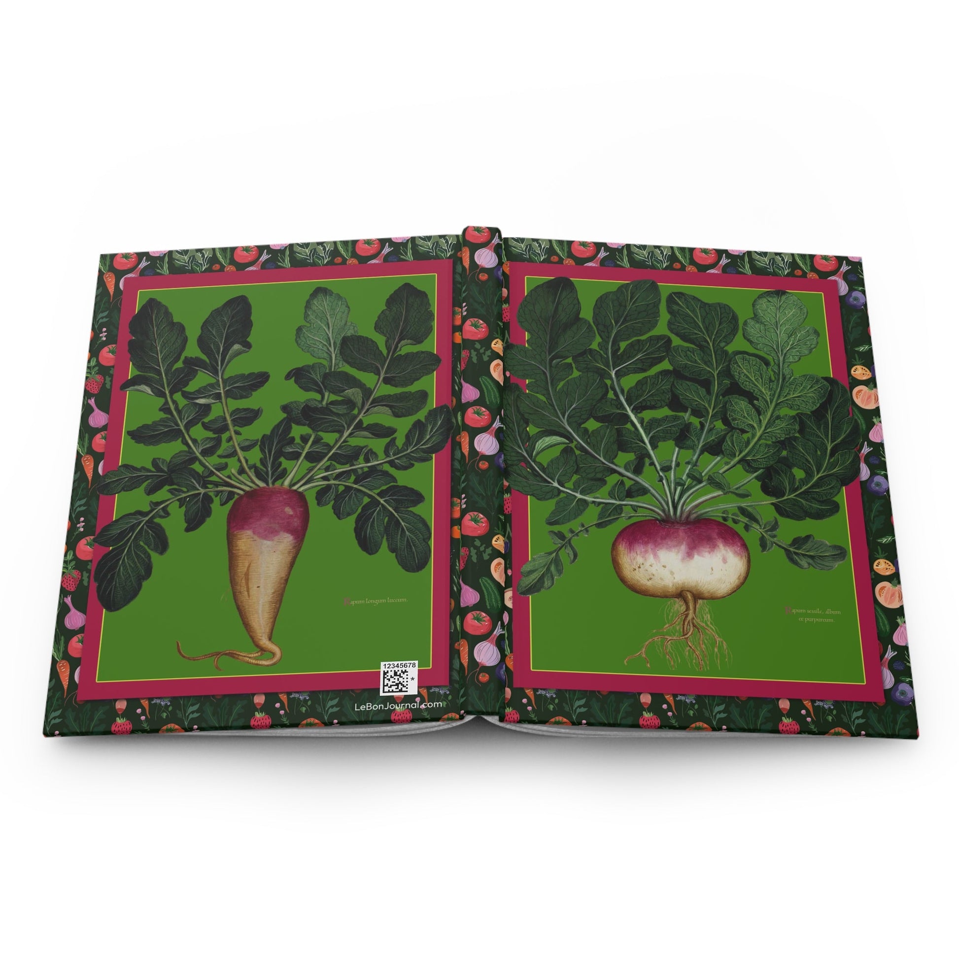 Ulisse Aldrovandi botanical journal open showing casewrap binding and Renaissance vegetable illustrations - LeBonJournal