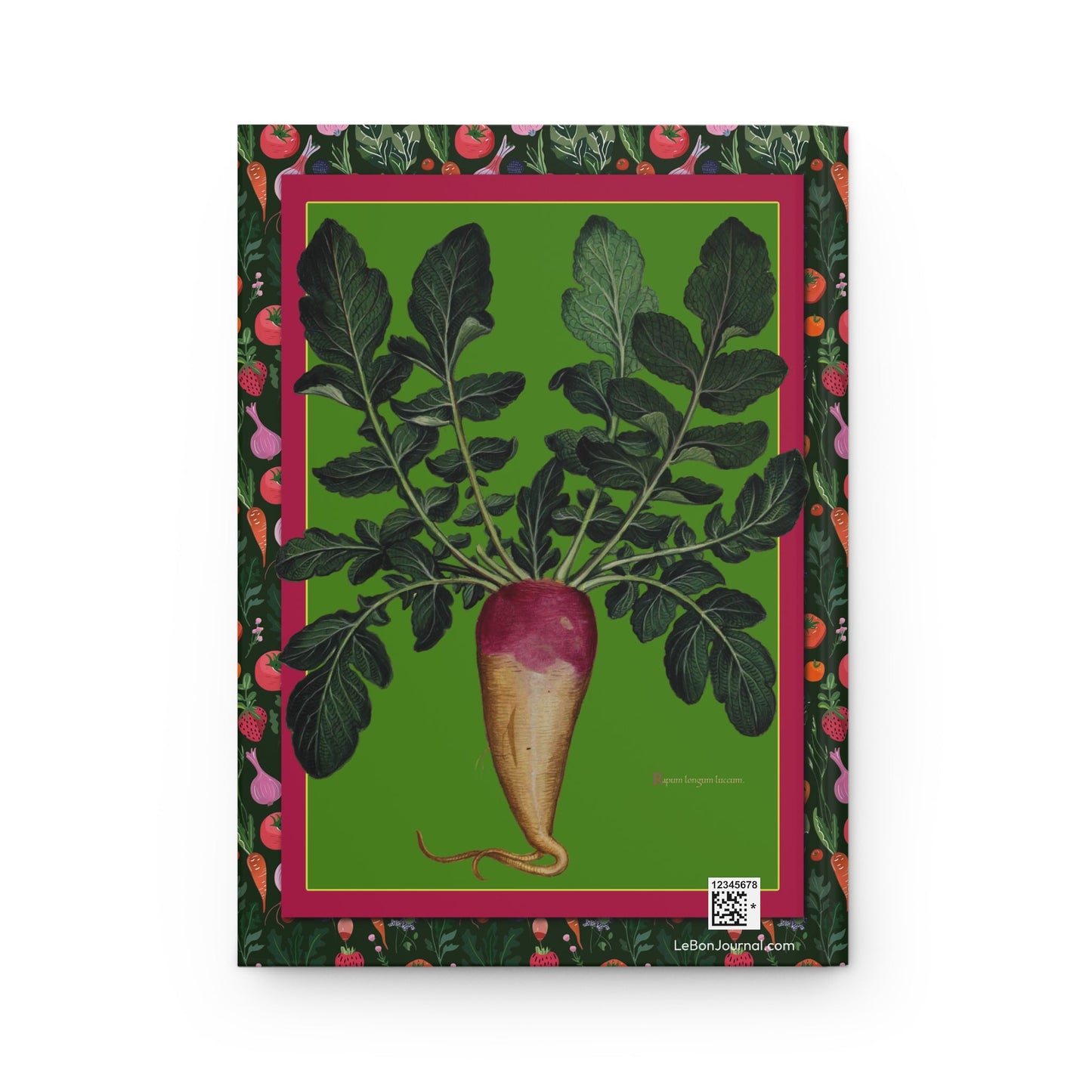 Ulisse Aldrovandi journal back cover with Renaissance long turnip illustration - LeBonJournal