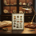 Lifestyle photo of Alexander Bernard mineralogy atlas journal standing upright on dark wood desk with magnifying glass cataloging labels mineral specimens and vintage lamp LeBonJournal