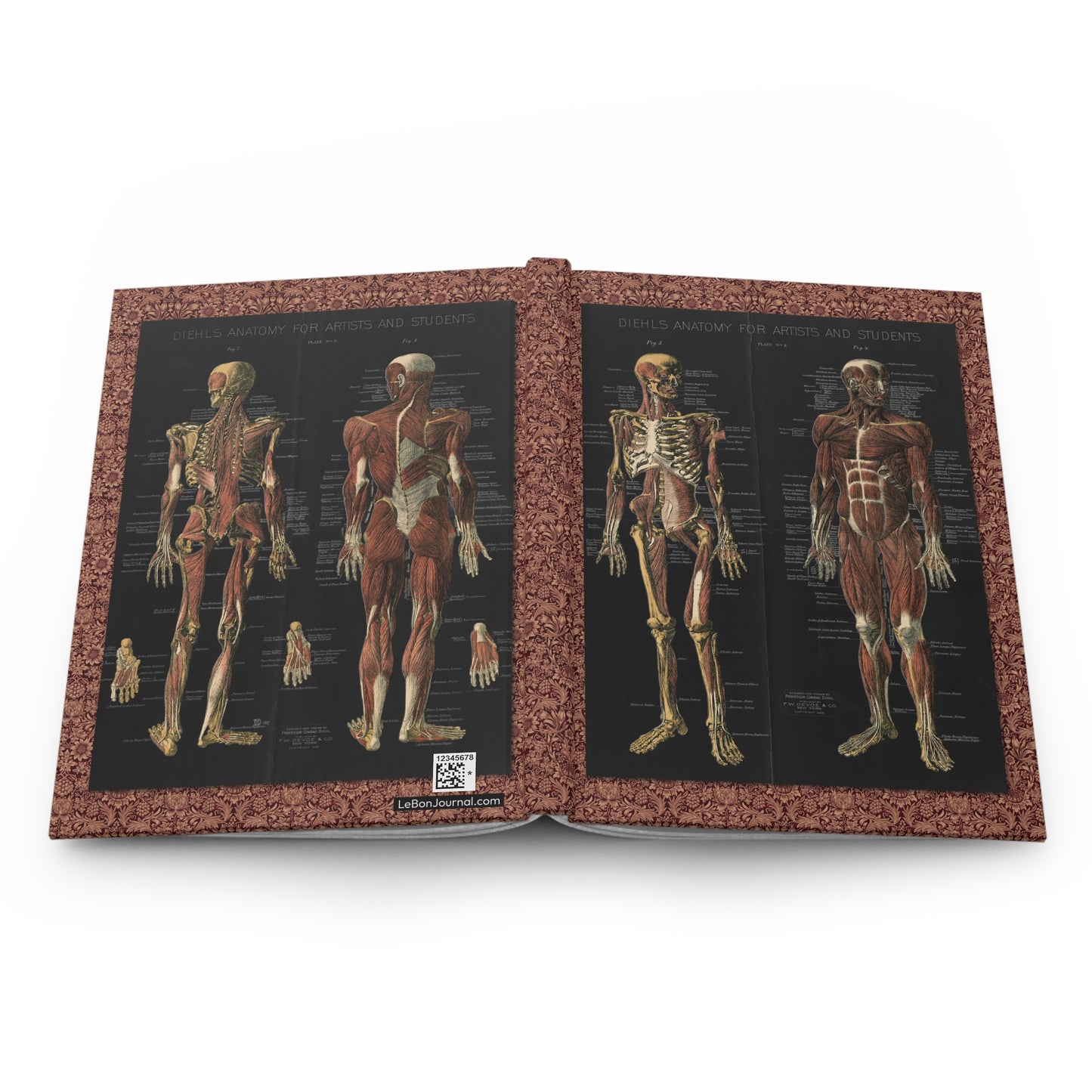 anatomy hardcover journal spine and full-wrap Conrad Diehl 1888 chromolithographic muscular design - LeBonJournal
