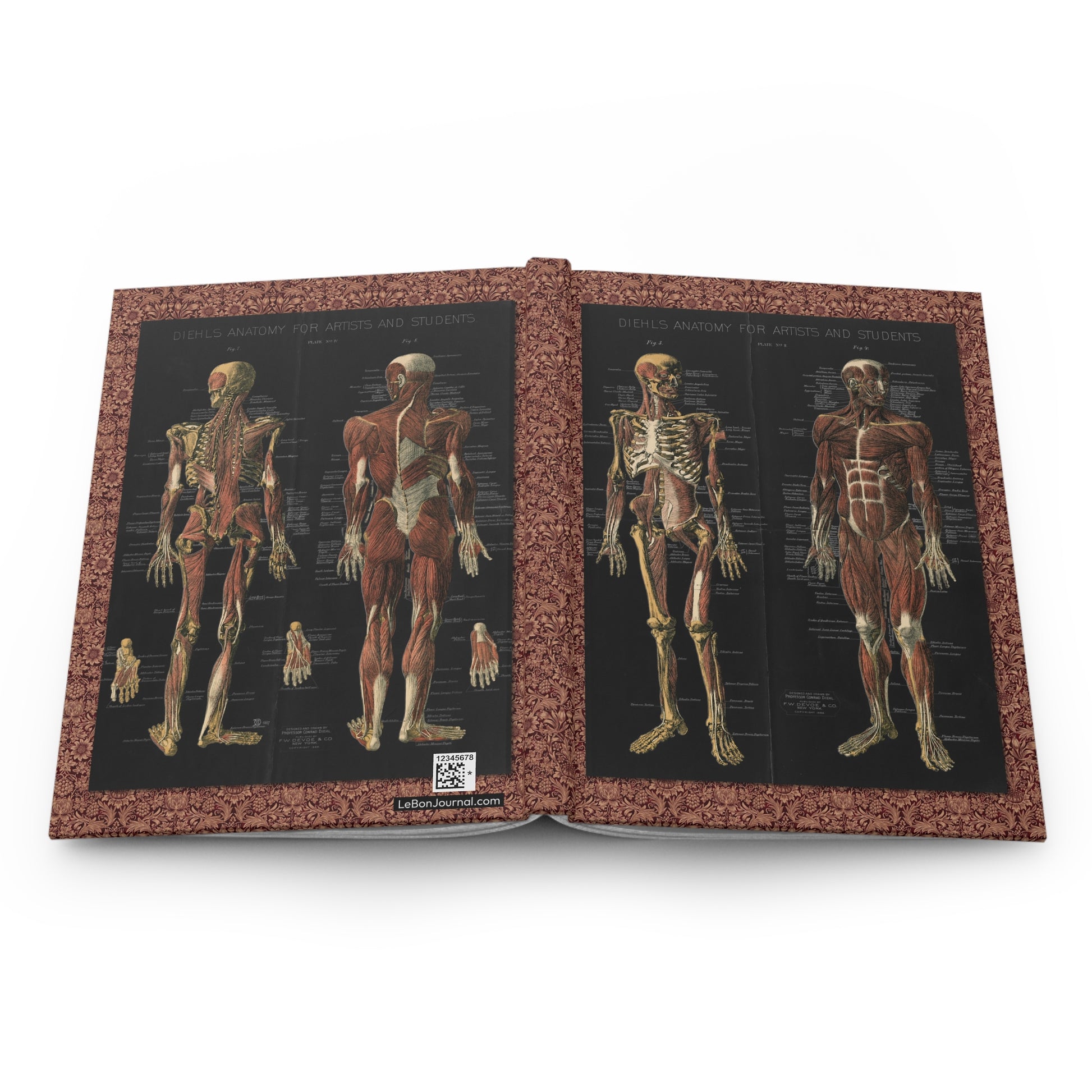 anatomy hardcover journal spine and full-wrap Conrad Diehl 1888 chromolithographic muscular design - LeBonJournal
