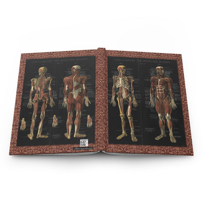anatomy hardcover journal spine and full-wrap Conrad Diehl 1888 chromolithographic muscular design - LeBonJournal
