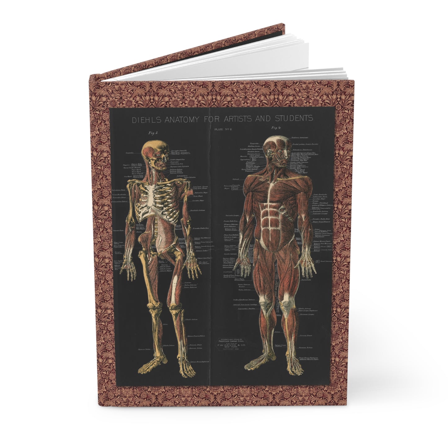 anatomy journal with Conrad Diehl 1888 chromolithographic muscular skeletal systems from F.W. Devoe & Co - LeBonJournal