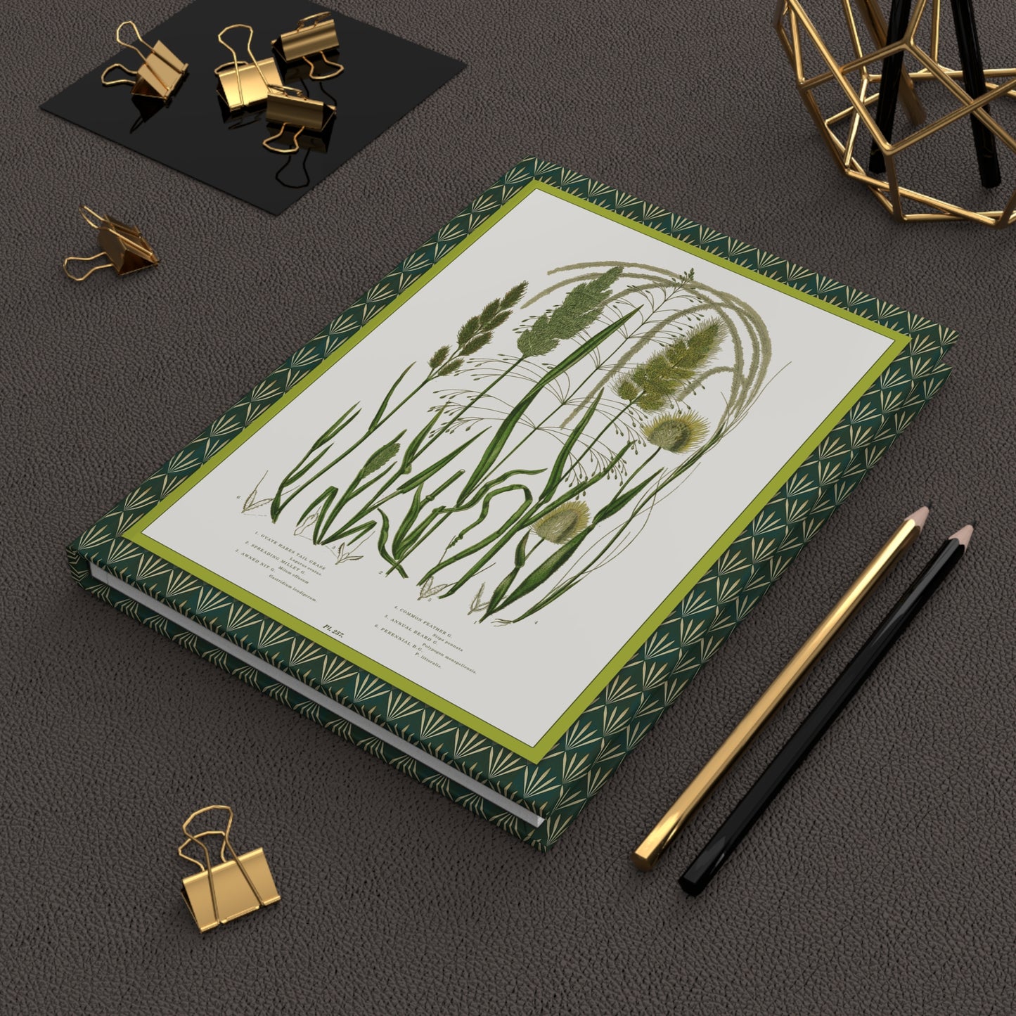 Lifestyle photo of Anne Pratt British grasses journal styled for botanists naturalists and Victorian botanical art collectors - LeBonJournal