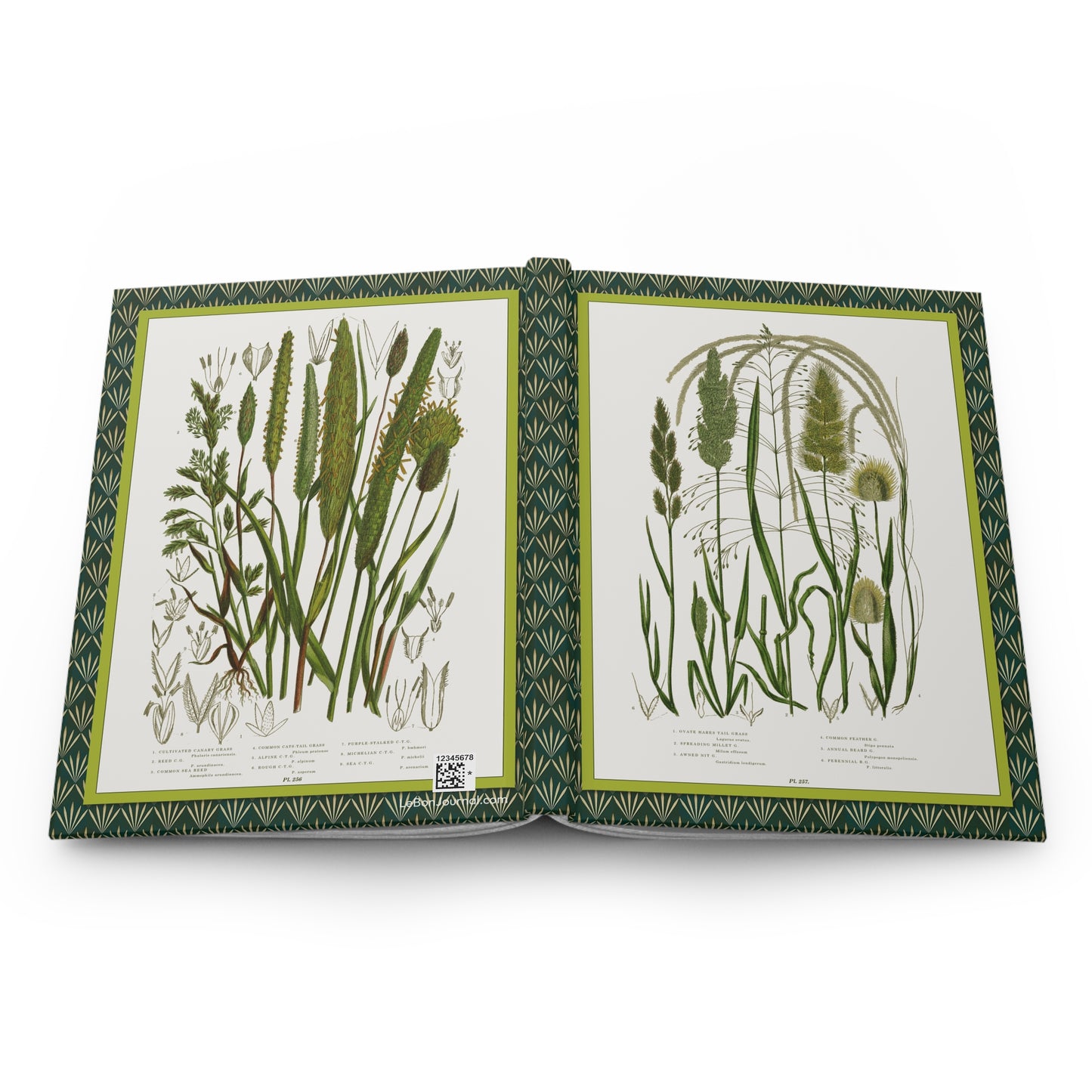 Hardcover journal opened flat showing spine binding and both covers with Anne Pratt plates 250 and 251 British grasses chromolithographs - LeBonJournal