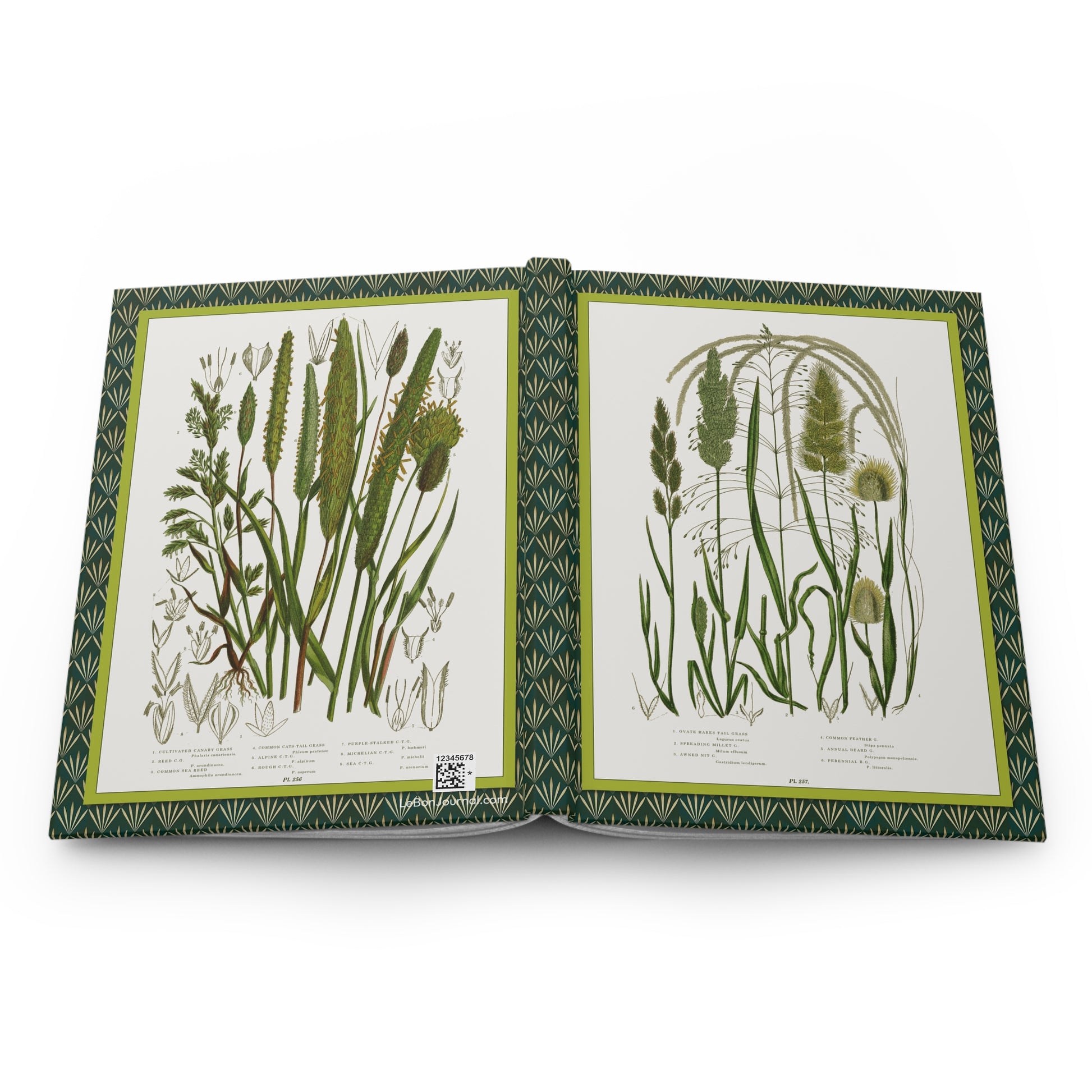 Hardcover journal opened flat showing spine binding and both covers with Anne Pratt plates 250 and 251 British grasses chromolithographs - LeBonJournal