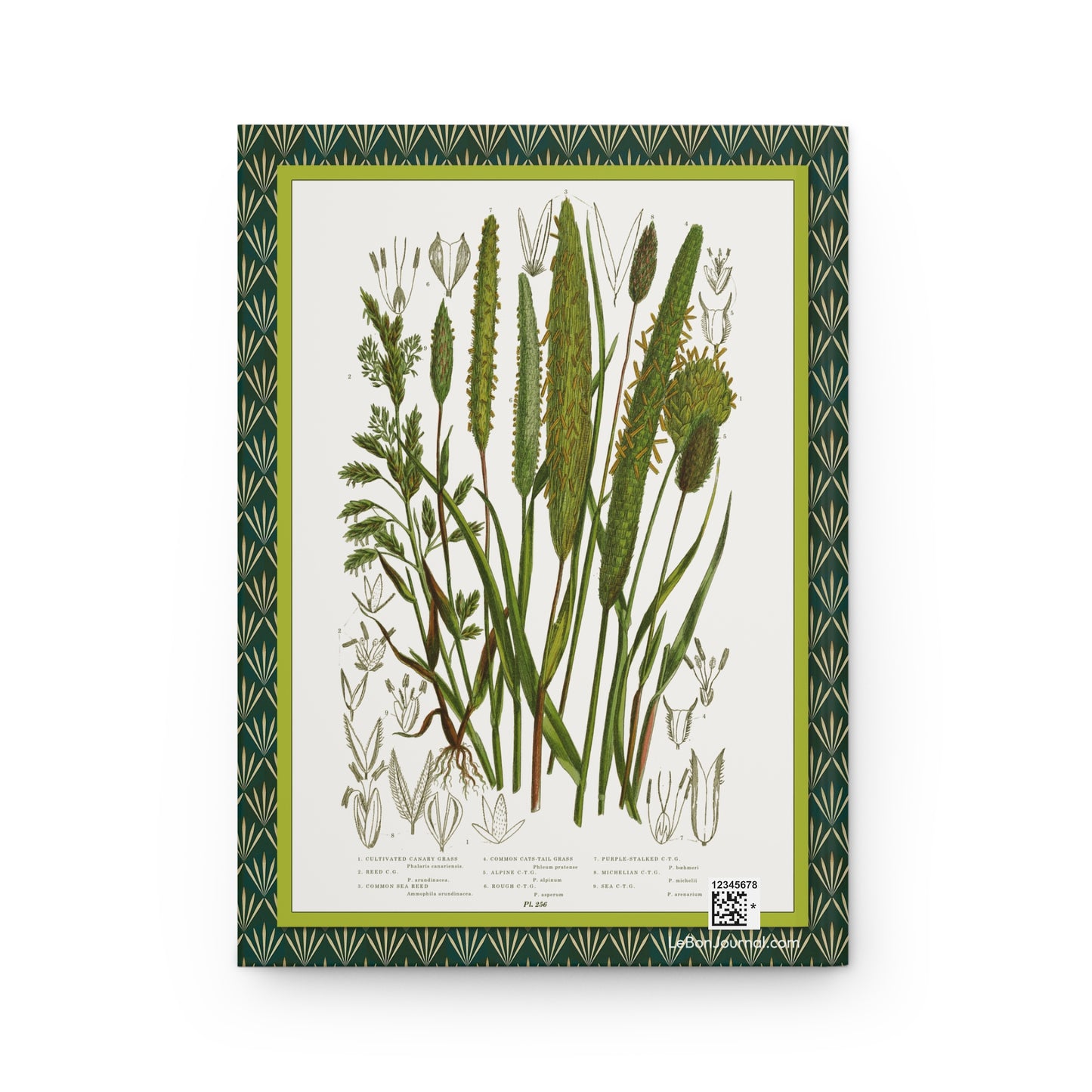 Back cover of hardcover journal featuring Anne Pratt plate 250 with Phalaris canariensis Phalaris arundinacea Ammophila arenaria Phleum pratense grasses - LeBonJournal