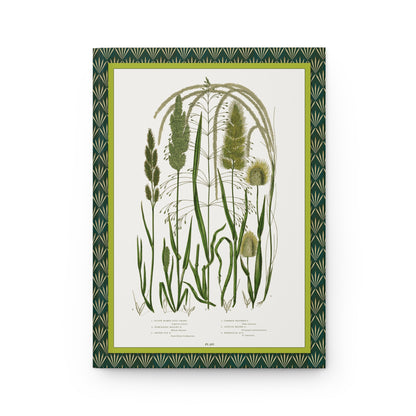 Front cover of hardcover journal featuring Anne Pratt plate 251 with Lagurus ovatus Milium effusum Gastridium lendigerum British grasses from 1855 - LeBonJournal