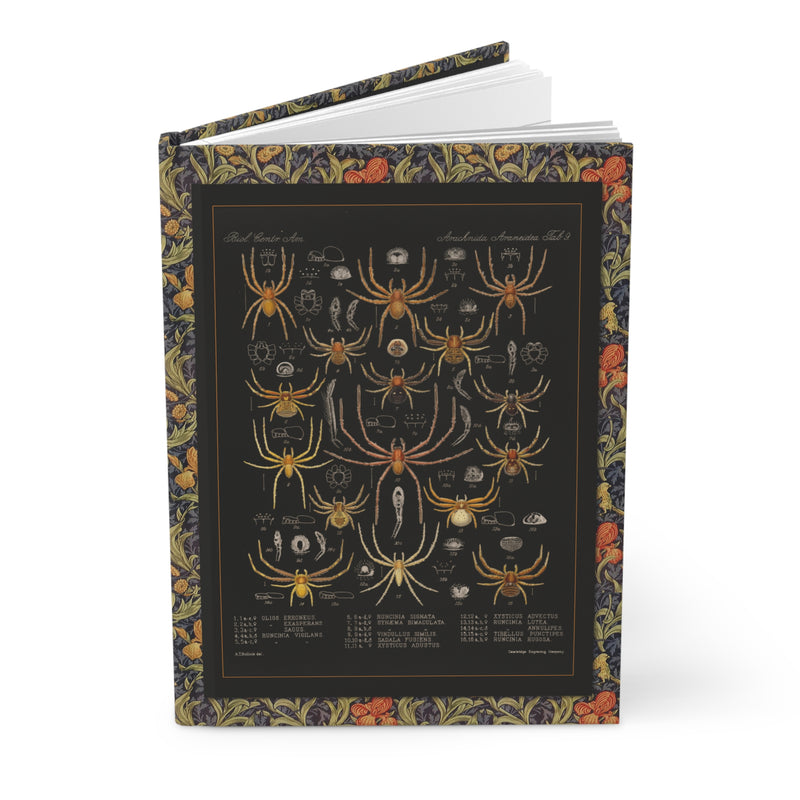 Arachnida spider journal with Frederick Godman Victorian specimens on black background - LeBonJournal