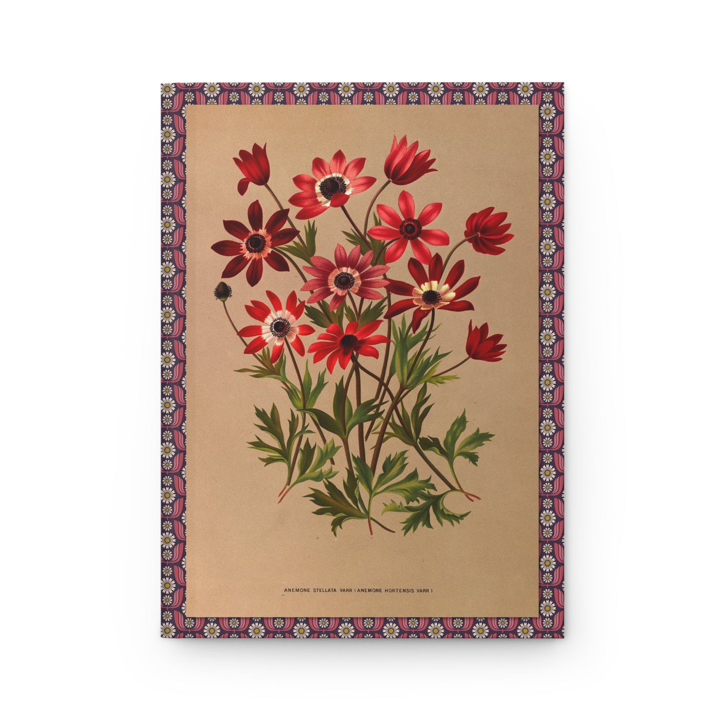 Arentina Arendsen journal front cover with 1872-1881 Anemone stellata watercolor - LeBonJournal