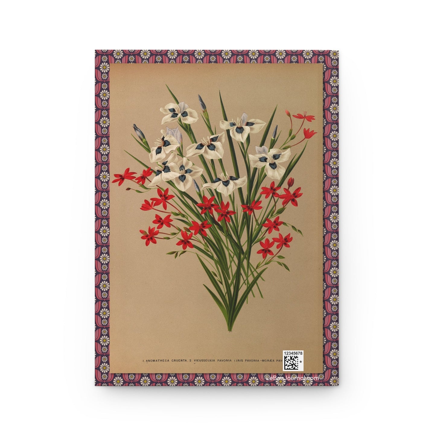 Arentina Arendsen journal back cover with Anomatheca cruenta and Vieusseuxia pavonia watercolor - LeBonJournal