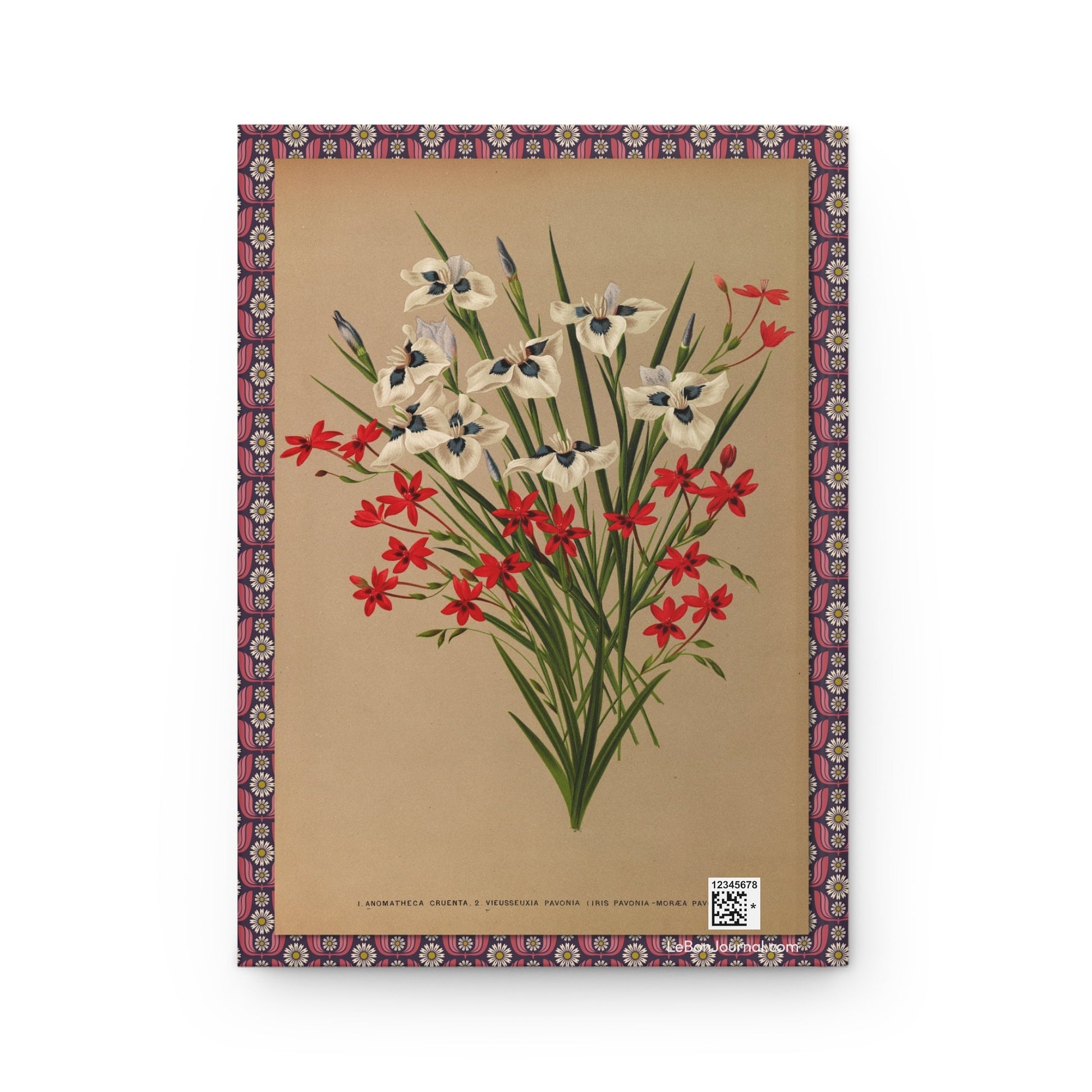 Arentina Arendsen journal back cover with Anomatheca cruenta and Vieusseuxia pavonia watercolor - LeBonJournal