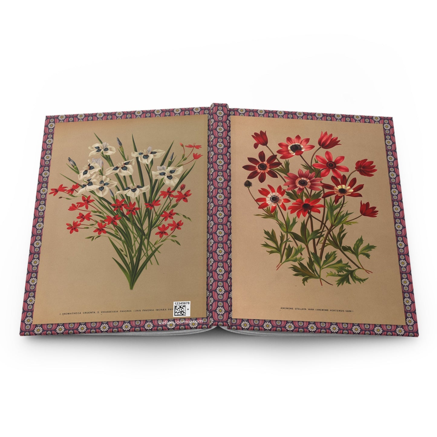 Arentina Arendsen botanical journal open showing casewrap binding with 1872-1881 watercolors - LeBonJournal