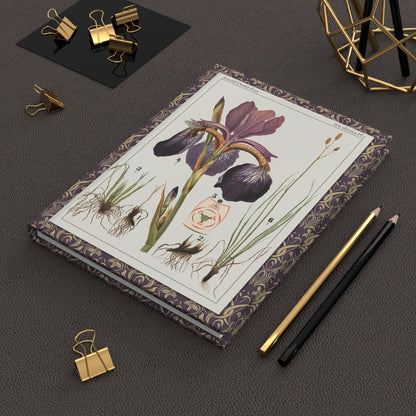 Arnold Dodel-Port 1892 iris sibirica journal on desk with gold clips for botanical notes - LeBonJournal