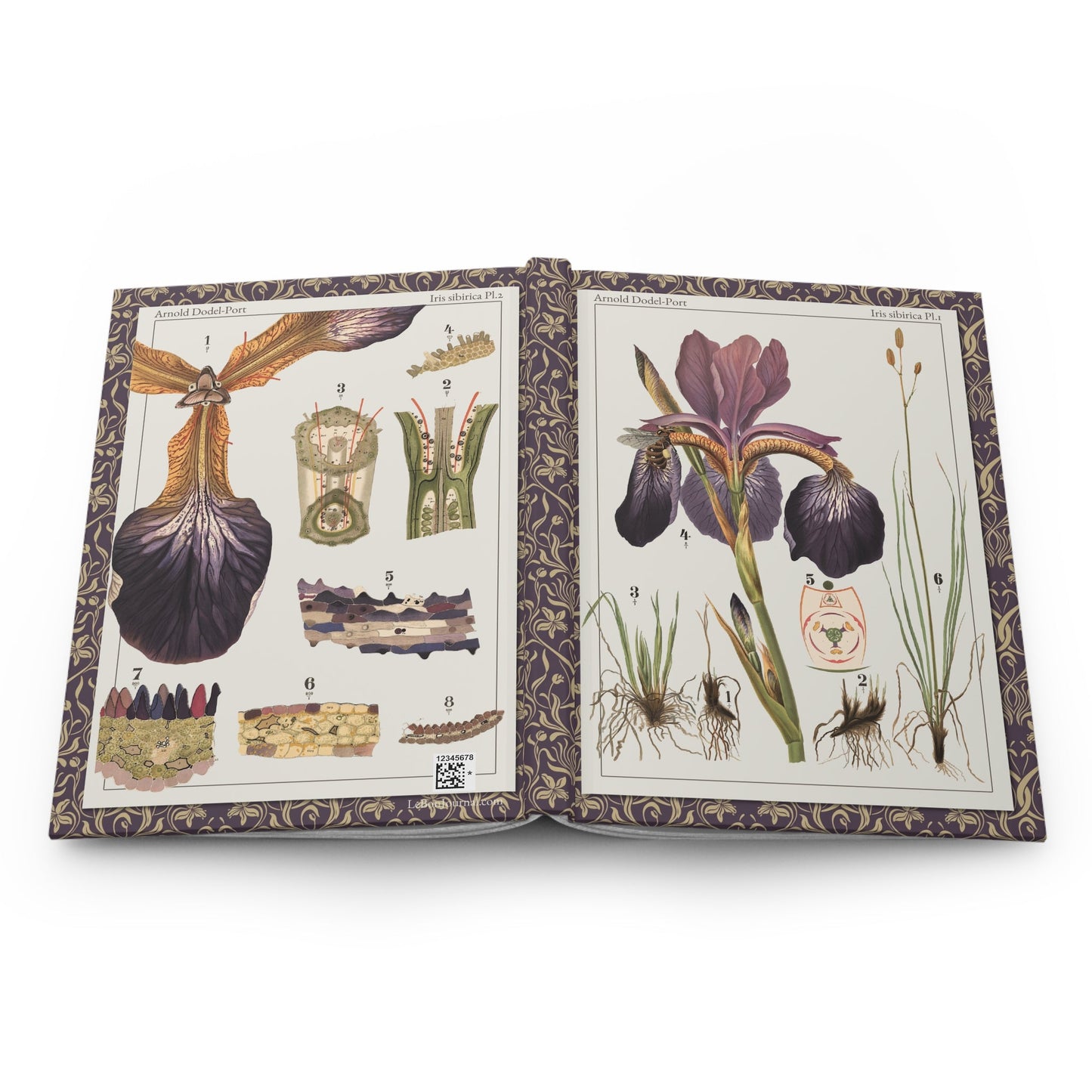 Arnold Dodel-Port iris sibirica journal open showing casewrap binding with 1892 plates - LeBonJournal