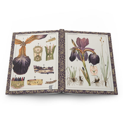 Arnold Dodel-Port iris sibirica journal open showing casewrap binding with 1892 plates - LeBonJournal