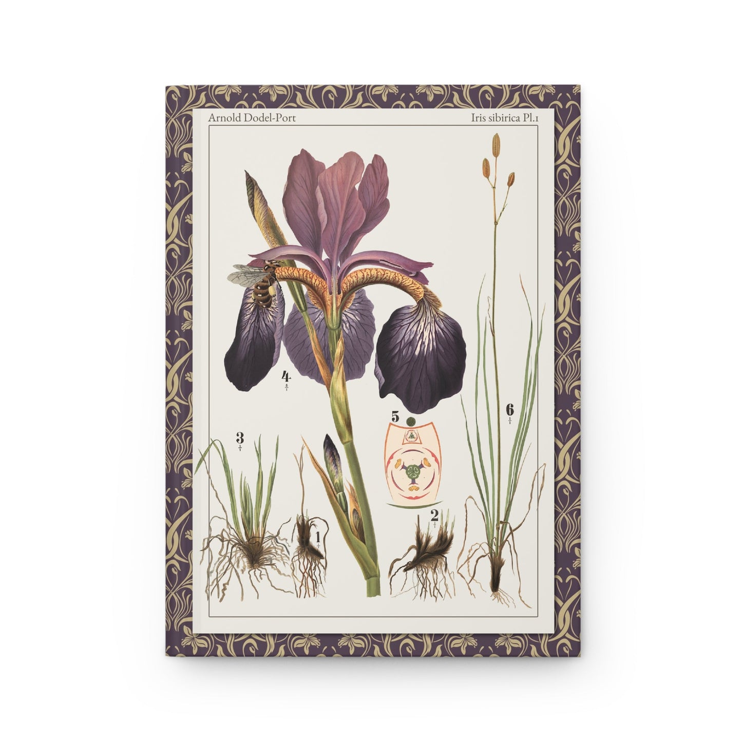 Arnold Dodel-Port journal front cover with 1892 Iris sibirica Plate 1 - LeBonJournal