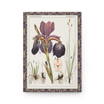 Arnold Dodel-Port journal front cover with 1892 Iris sibirica Plate 1 - LeBonJournal