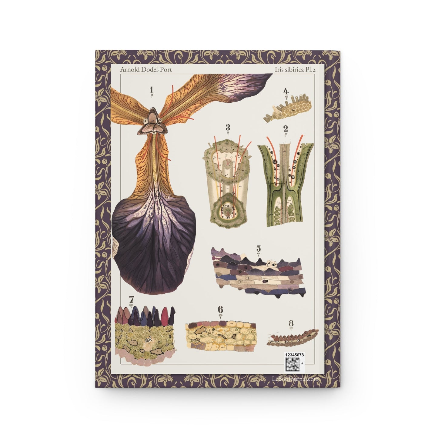 Arnold Dodel-Port journal back cover with 1892 Iris sibirica Plate 2 - LeBonJournal