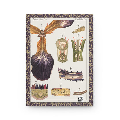 Arnold Dodel-Port journal back cover with 1892 Iris sibirica Plate 2 - LeBonJournal