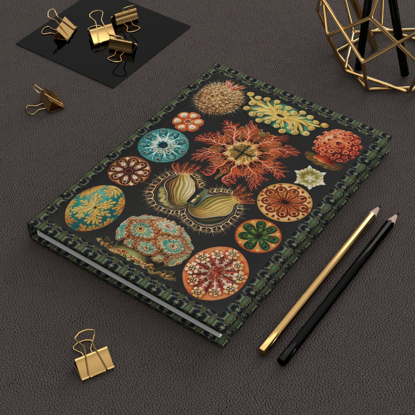 Ascidiae sea squirts journal with Ernst Haeckel Kunstformen der Natur books marine biology specimens Art Nouveau design references Victorian natural history collection - LeBonJournal