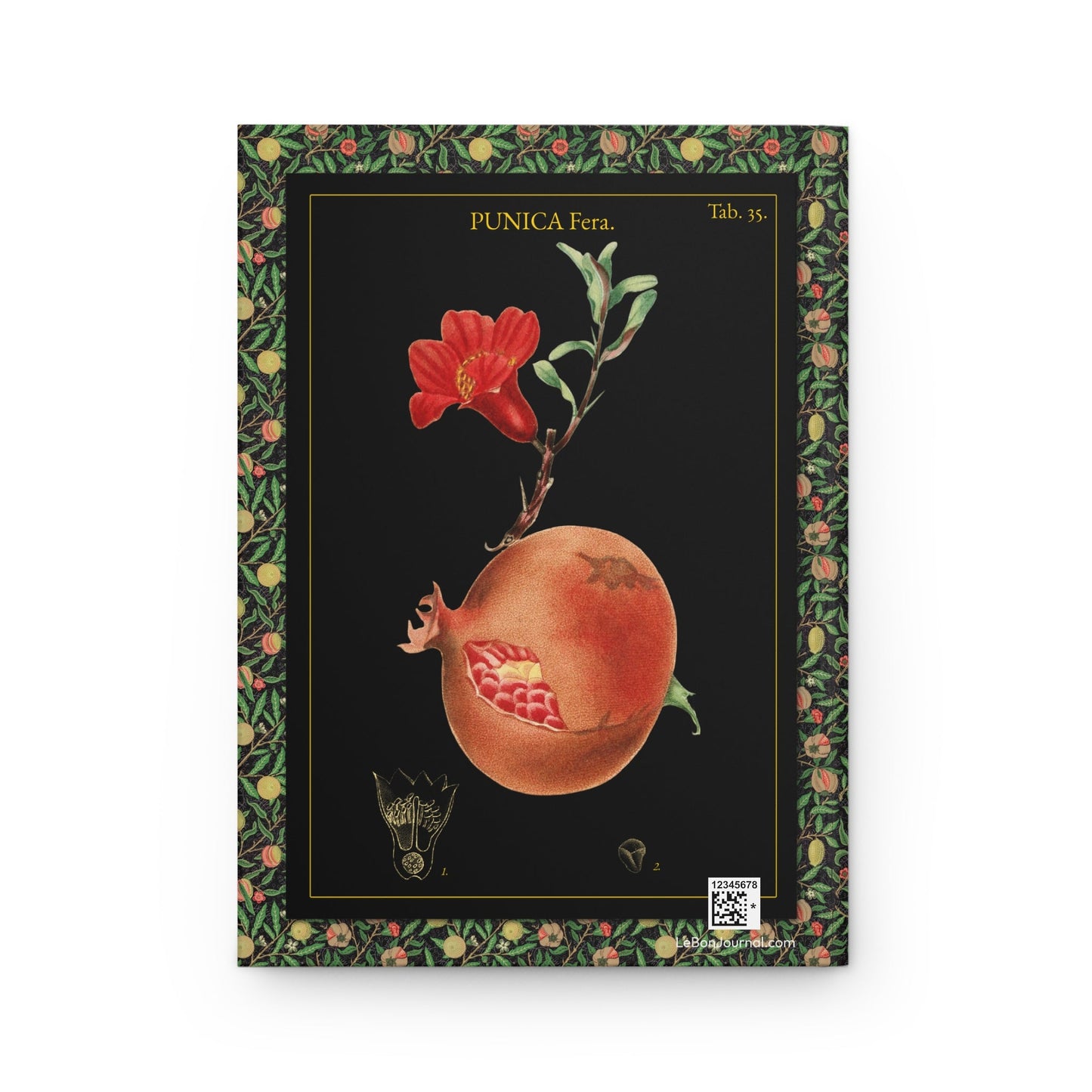 Back cover Bertuch Bilderbuch für Kinder 1790-1830 pomegranate botanical engraving red flower fruit arils Persephone mythology black background - LeBonJournal
